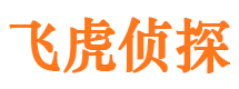 南溪市侦探调查公司